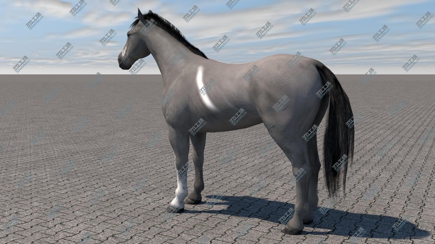 images/goods_img/202105072/3D Horse model/3.jpg